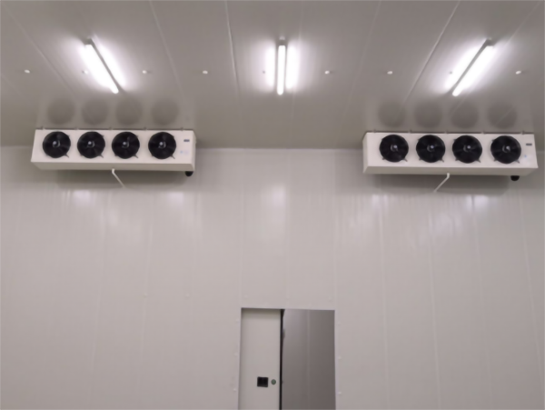 食品公司內(nèi)建造一個(gè)1000平包子、水餃速凍冷庫費(fèi)用是多少？