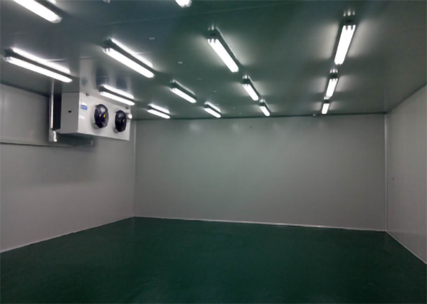 食品公司內(nèi)建造1000平加工型冷庫大概費用是多少？