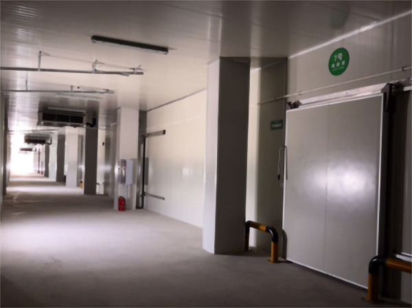 建造200噸的肉類冷鏈冷凍庫如何做好規(guī)劃設(shè)計(jì)？
