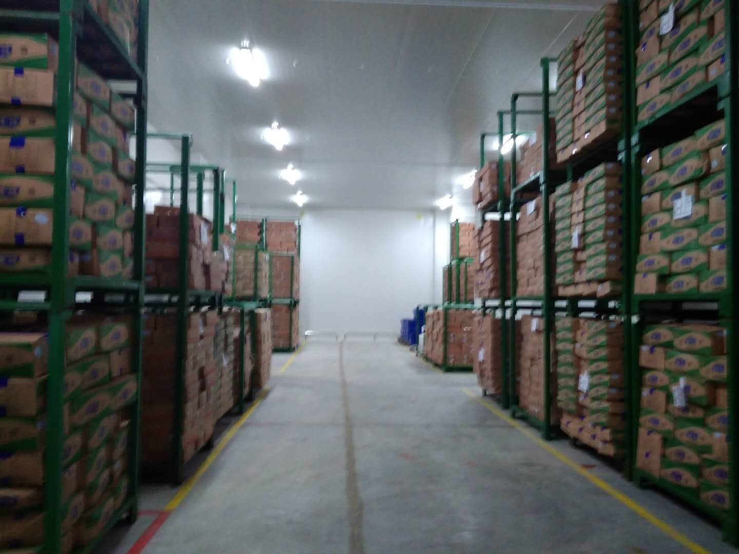 建設8500㎡陰涼物流低溫倉庫安裝配置方案費用是多少？