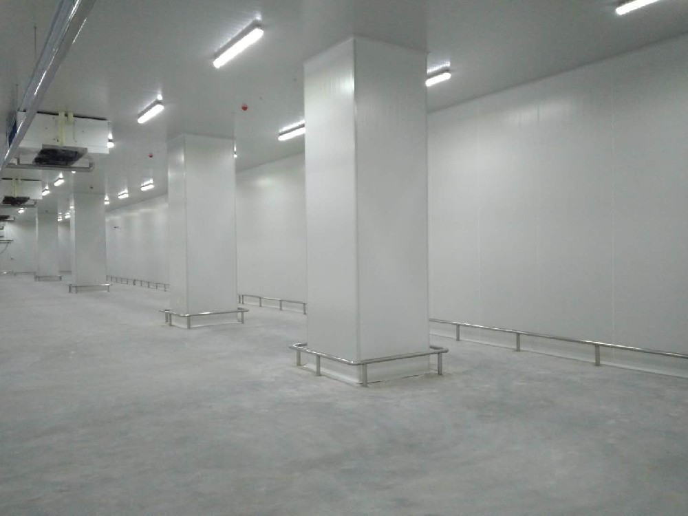 建造200噸的肉類冷鏈冷凍庫(kù)如何做好規(guī)劃設(shè)計(jì)？