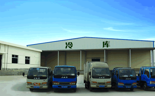 裝配式冷庫建造發(fā)展，冷庫建造的好處