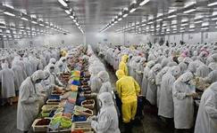 上海電商冷庫建造、運營