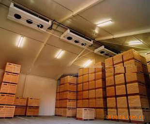 果蔬冷庫香蕉保鮮冷庫工程建造、香蕉保鮮技術(shù)