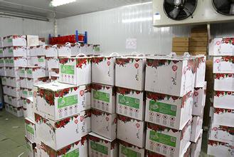 果蔬氣調(diào)保鮮庫工程設計安裝