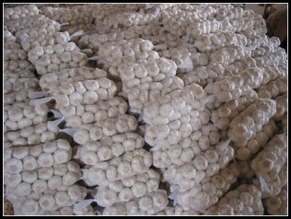 大蒜保鮮冷庫設(shè)計(jì)，冷庫安裝要求