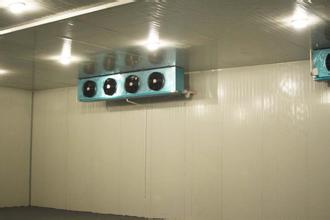 水果、蔬菜保鮮冷庫安裝，冷庫工程建造