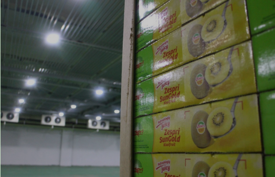 瓜果氣調(diào)保鮮庫，保鮮庫安裝造價