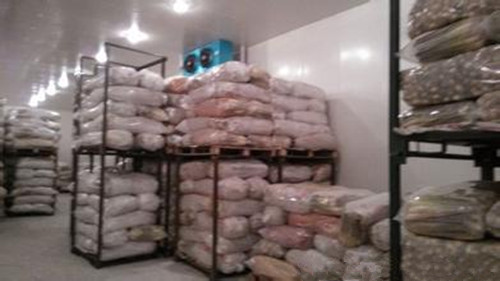 建一個500噸蓮藕冷庫多少錢 ，蓮藕冷庫造價