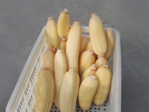 建造蓮藕冷藏庫(kù)多少錢一平，100噸的蓮藕要多大庫(kù)