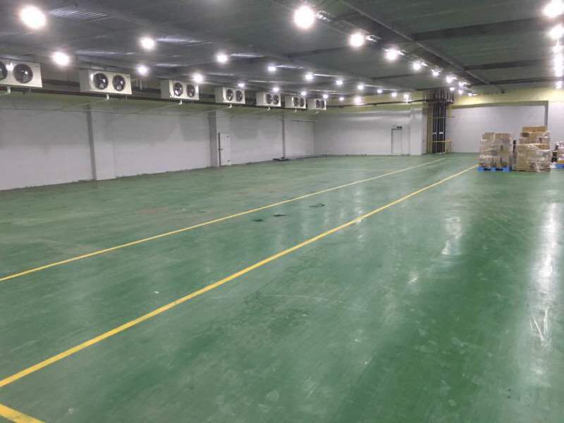 800平蘋果冷庫設(shè)計，水果冷藏庫安裝