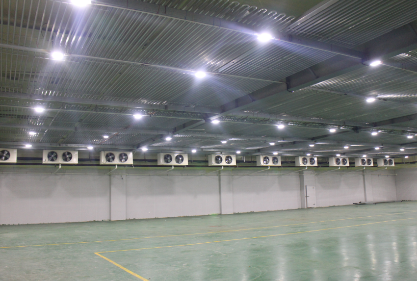  -18~-25℃冷庫(kù)設(shè)計(jì)建造價(jià)格，600噸冷凍庫(kù)造價(jià)