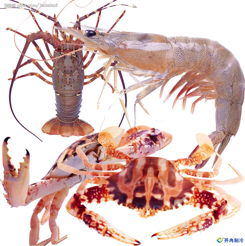 500平米海鮮冷庫(kù)建造，-25℃冷凍庫(kù)造價(jià)多少錢