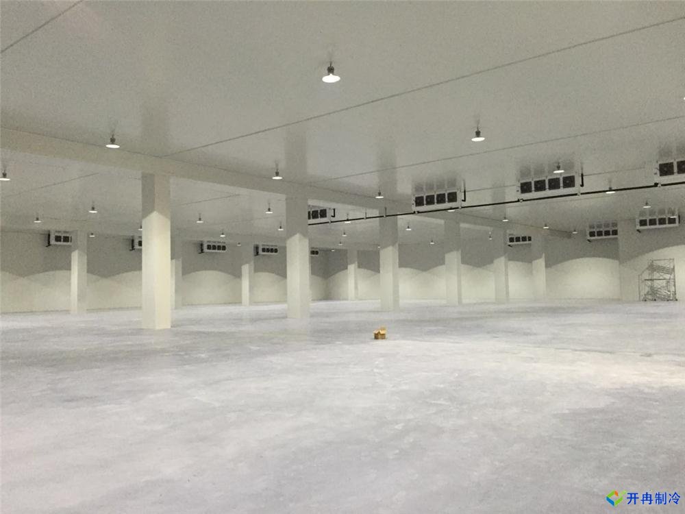 浙江建-60℃金槍魚超低溫冷庫,冷庫總價預(yù)算多少
