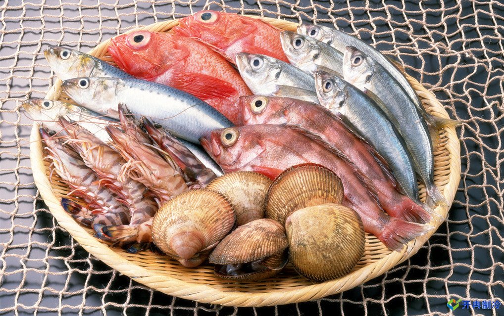 上海建造海鮮冷庫(kù)，冷庫(kù)報(bào)價(jià)表