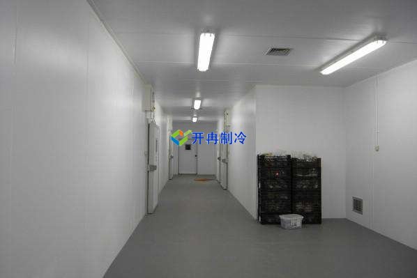 定制酒店冷凍庫(kù)、食堂雙溫庫(kù)、餐飲冷藏庫(kù)工程造價(jià)